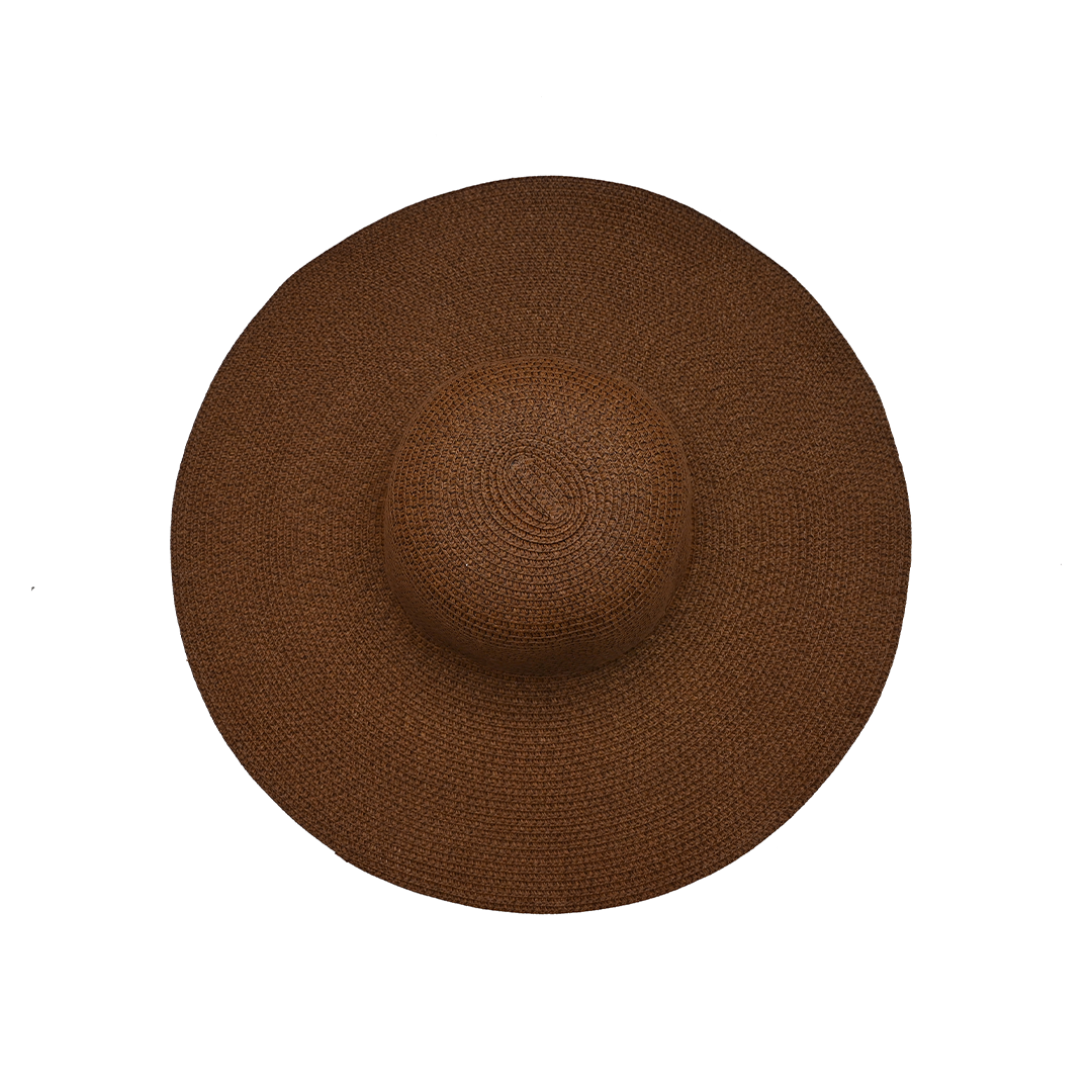 Dark brown floppy hat 2025